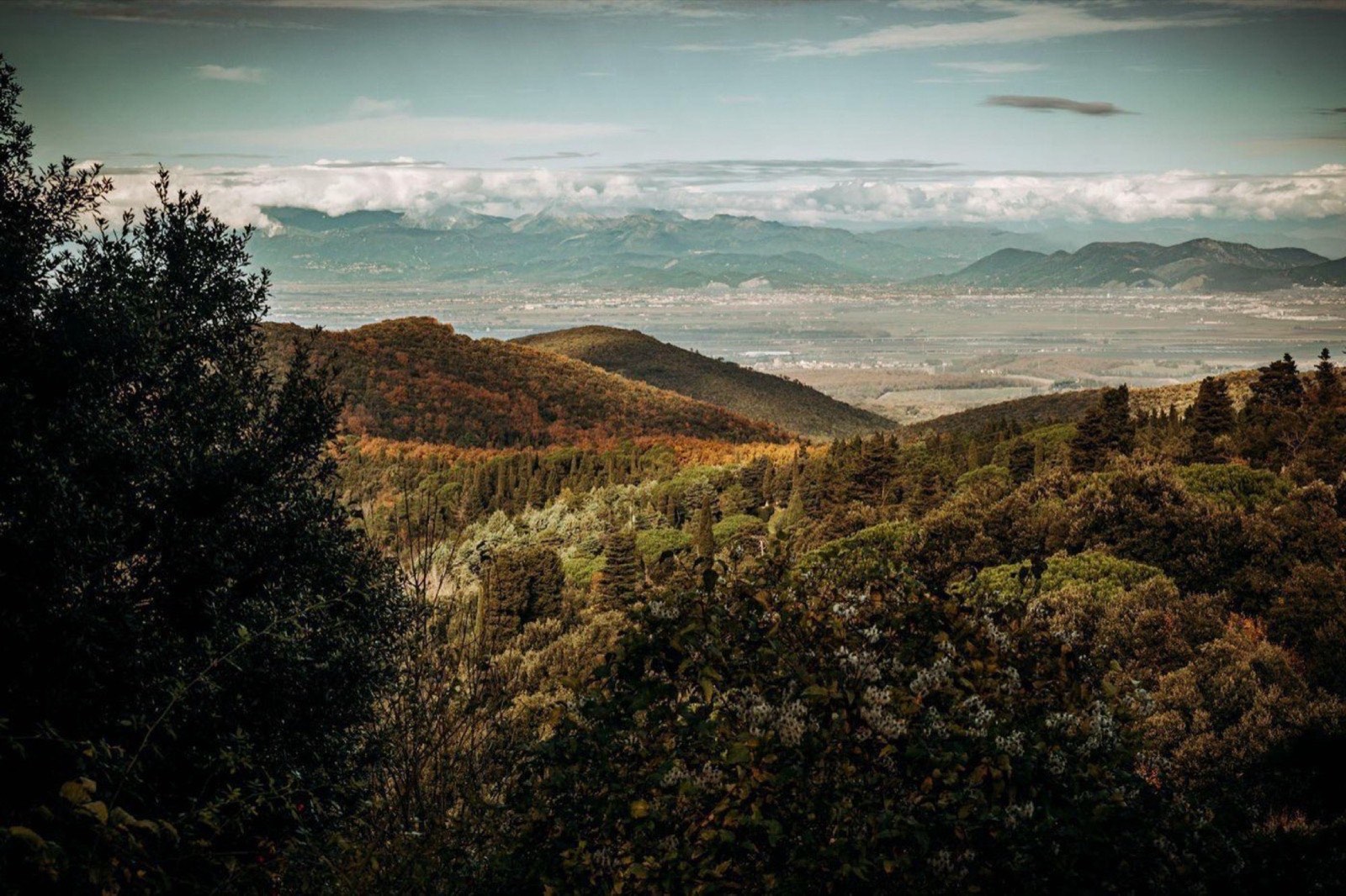 Panorama colline livornesi